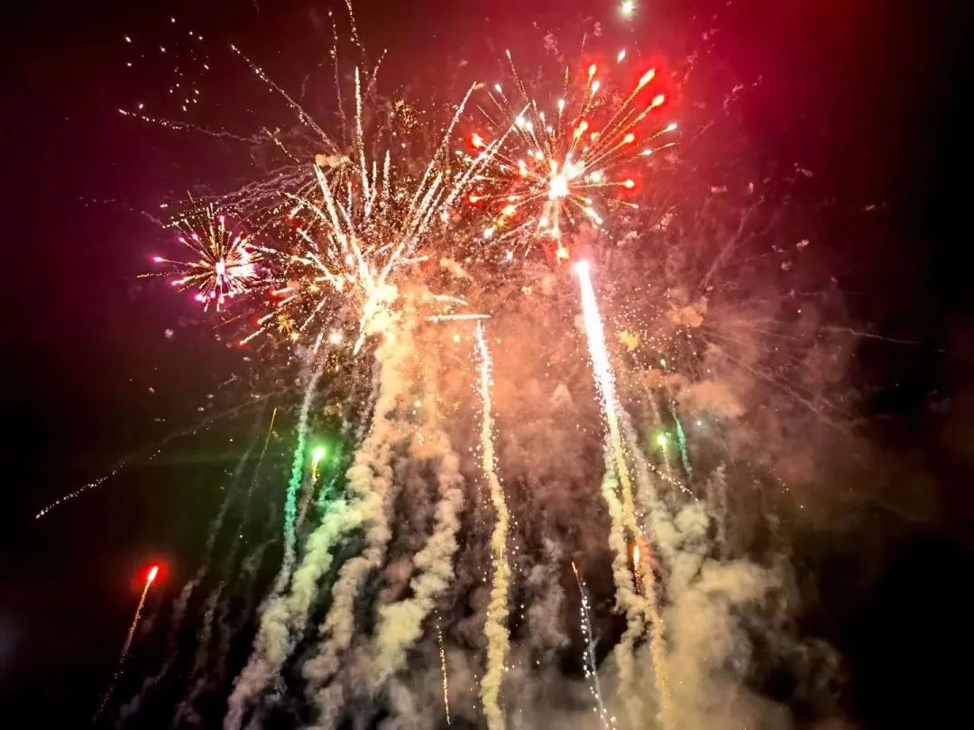 久久久91精品国产免费观看