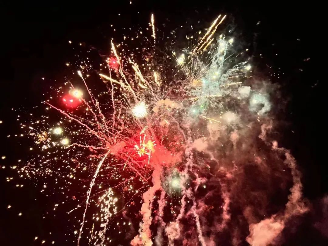 久久久91精品国产免费观看