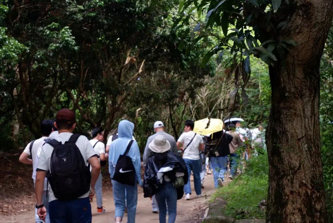 久久久91精品国产免费观看