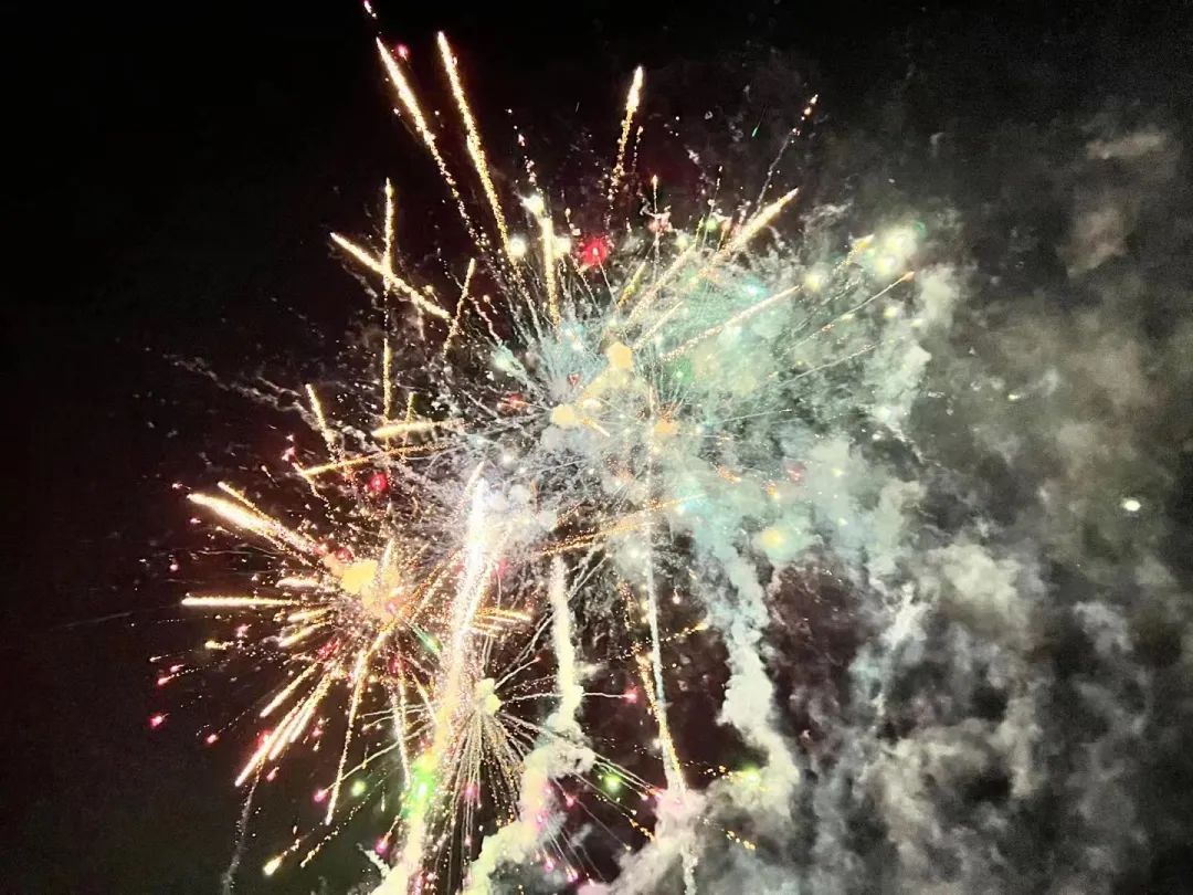 久久久91精品国产免费观看