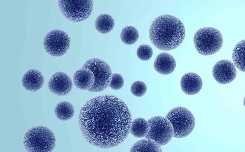 久久久91精品国产免费观看