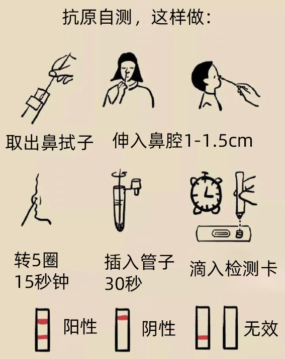 鼻拭子自测操作步骤图解