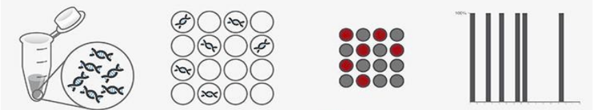 数字 PCR 原理图