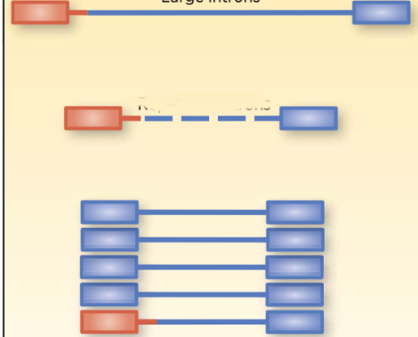 DNA检测对融合变异的检出存在缺陷