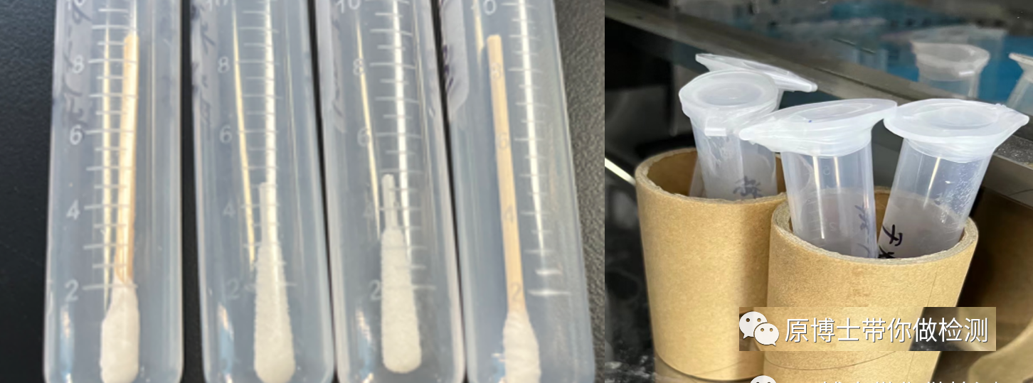 干燥后抗体释放率：植绒>棉签