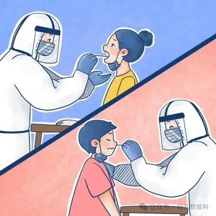 鼻拭子和咽拭子采样对比图.webp