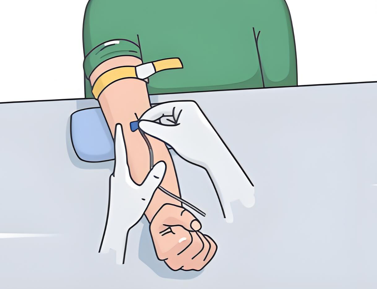 静脉采血.png