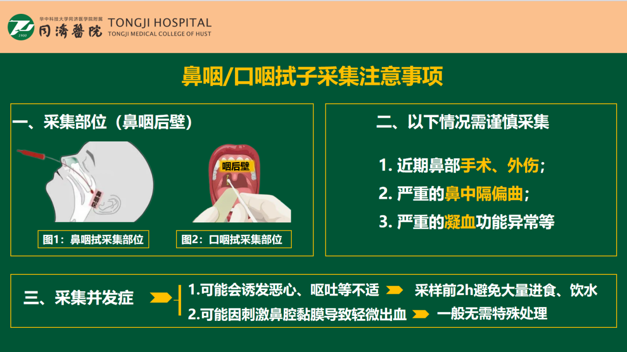 儿童咽拭子采集注意事项.png 儿童咽拭子采集注意事项.png